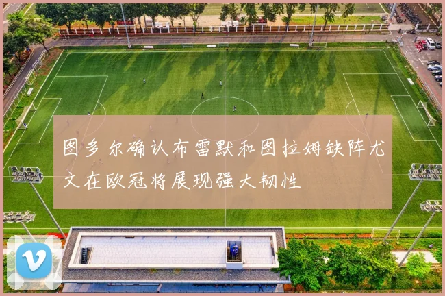 图多尔确认布雷默和图拉姆缺阵尤文在欧冠将展现强大韧性