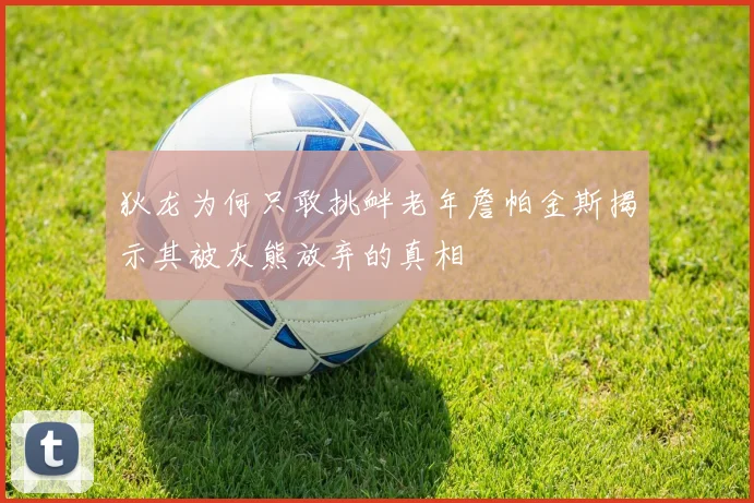 狄龙为何只敢挑衅老年詹帕金斯揭示其被灰熊放弃的真相