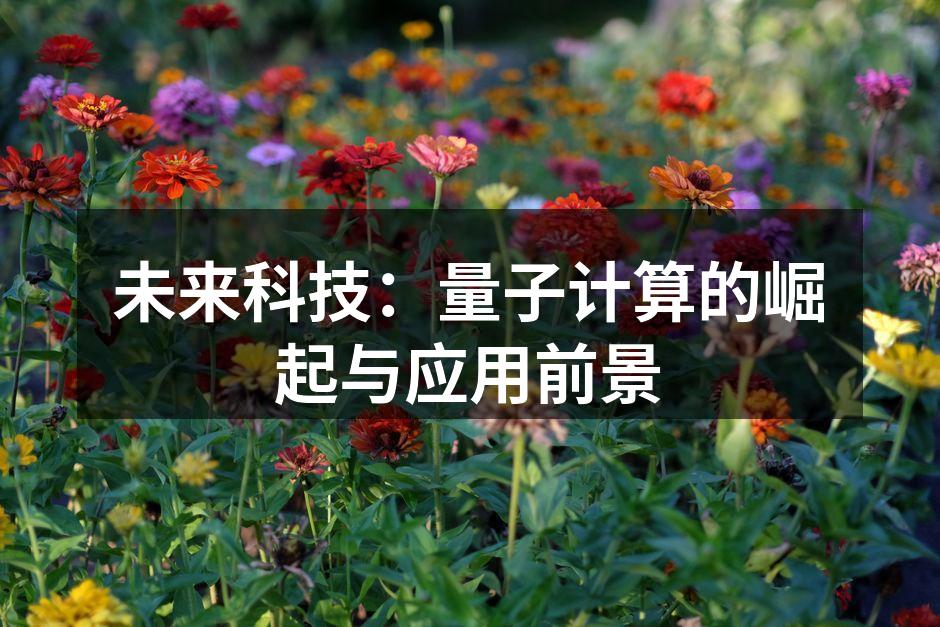未来科技：量子计算的崛起与应用前景